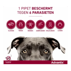 Advantix Spot On 250 10-25kg - 2.5ml - Anti Vlooien En Tekenmiddel - 4 Pipetten -Flamingo Verkoop advantix spot on 4 1 1