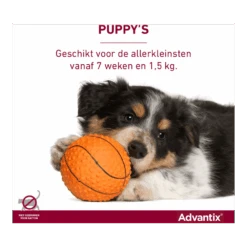 Advantix Spot On 40 - Tot 4kg - 0.4ml - Anti Vlooien En Tekenmiddel - 4 Pipetten -Flamingo Verkoop advantix spot on 5 1 2