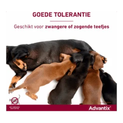 Advantix Spot On 400 - 25-40kg - 4ml - Anti Vlooien En Tekenmiddel - 6 Pipetten -Flamingo Verkoop advantix spot on 6 2