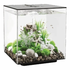 Aquarium BiOrb Cube 60L LED - Zwart