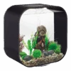 Aquarium BiOrb Life 30L MCR - Zwart -Flamingo Verkoop aquarium biorb life 30l mcr zwart 1 3