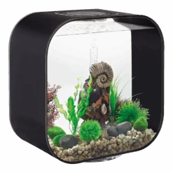 Aquarium BiOrb Life 30L MCR - Zwart