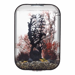 Aquarium BiOrb Life 45L MCR - Zwart -Flamingo Verkoop aquarium biorb life 45l mcr zwart 2 3