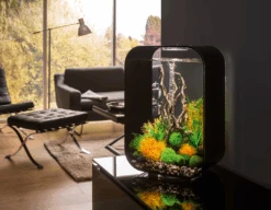 Aquarium BiOrb Life 45L MCR - Zwart -Flamingo Verkoop aquarium biorb life 45l mcr zwart 5 3