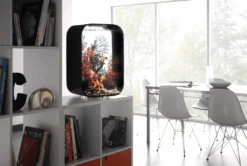 Aquarium BiOrb Life 45L MCR - Zwart -Flamingo Verkoop aquarium biorb life 45l mcr zwart 6 3