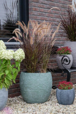 Bloempot Arizona Bullet Cypress Wash - D57 X H50.5cm - Groen -Flamingo Verkoop arizona bullet cypress wash d57h505 bloempot 7 9