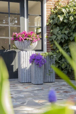 Plantenschaal Arkansas - D45 X H20cm - Lichtgrijs -Flamingo Verkoop arkansas bowl low washed grey d45h20 bloempot 7 9