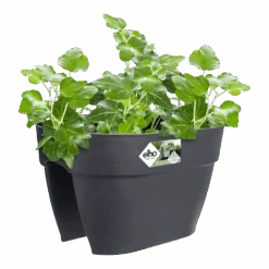 Elho Balkonbak Vibia Campana Bridge 40cm - Antraciet -Flamingo Verkoop balkonbak vibia campana bridge 40cm antraciet balkonbak antraciet 3 1