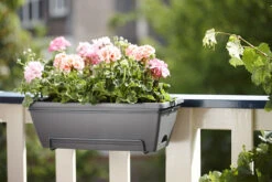 Balkonbak Elho Barcelona Allin 1 50cm - Antraciet -Flamingo Verkoop barcelona allin1 50cm plantenbak antraciet 7 18