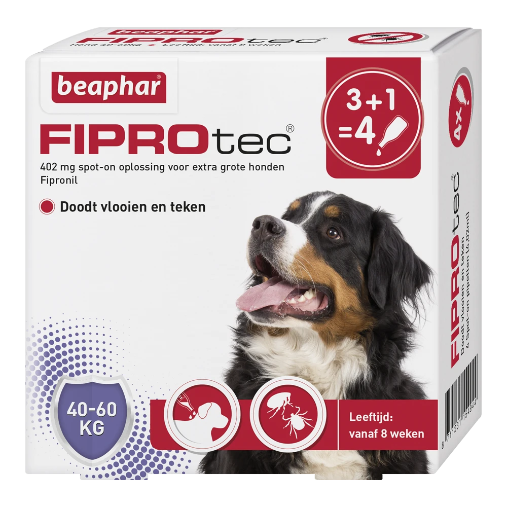 Beaphar Fiprotec Spot-on Hond - 40 Tot 60kg - 4 Stuks - Anti Vlooien En Tekenmiddel 3 Beaphar Fiprotec Spot-on Hond - 40 Tot 60kg - 4 Stuks - Anti Vlooien En Tekenmiddel