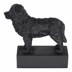 Beeldje Berner Sennenhond - Hondenras Beeldje - Zwart - Happy House 9 Beeldje Berner Sennenhond - Hondenras Beeldje - Zwart - Happy House -Flamingo Verkoop beeldje berner sennenhond hondenras beeldje zwart happy house 3