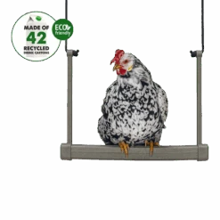 Beeztees Kippenschommel - 40x5x30cm - Kippenspeelgoed