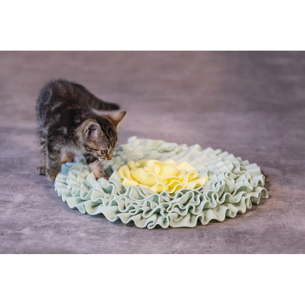 Beeztees Snuffelmat Flowie - Mint - 38x38x3cm - Kattenspeelgoed 4 Beeztees Snuffelmat Flowie - Mint - 38x38x3cm - Kattenspeelgoed - Afbeelding 2