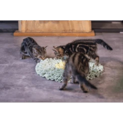 Beeztees Snuffelmat Flowie - Mint - 38x38x3cm - Kattenspeelgoed 7 Beeztees Snuffelmat Flowie - Mint - 38x38x3cm - Kattenspeelgoed -Flamingo Verkoop beeztees snuffelmat flowie mint 38x38x3cm kattenspeelgoed 3 1