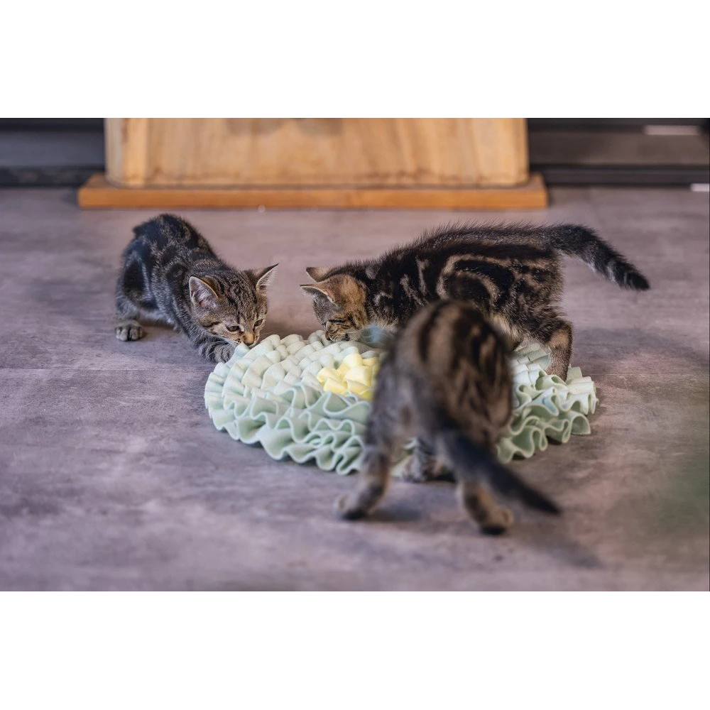 Beeztees Snuffelmat Flowie - Mint - 38x38x3cm - Kattenspeelgoed 5 Beeztees Snuffelmat Flowie - Mint - 38x38x3cm - Kattenspeelgoed - Afbeelding 3