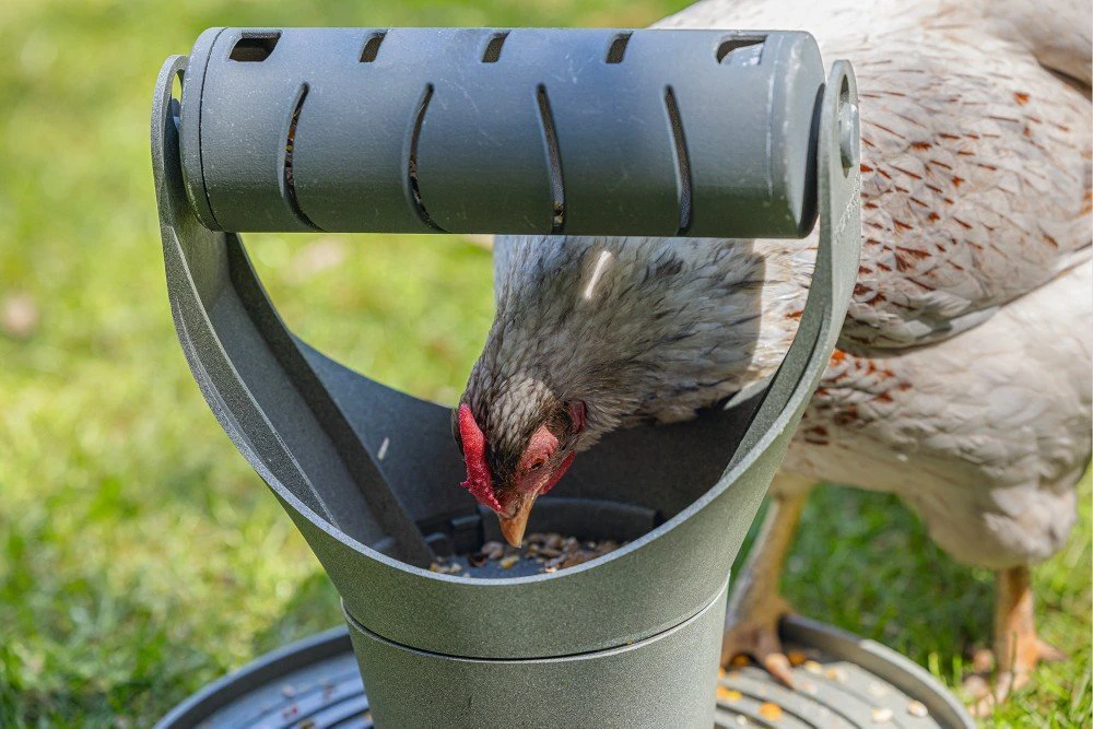 Beeztees Speel- En Snacktoren - Kippenspeelgoed - 30x30x30cm 6 Beeztees Speel- En Snacktoren - Kippenspeelgoed - 30x30x30cm - Afbeelding 4