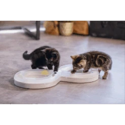 Beeztees Speelrail Agty - Wit - 50x24x5,5cm - Kattenspeelgoed 5 Beeztees Speelrail Agty - Wit - 50x24x5,5cm - Kattenspeelgoed -Flamingo Verkoop beeztees speelrail agty wit 50x24x5 5cm kattenspeelgoed 2 1