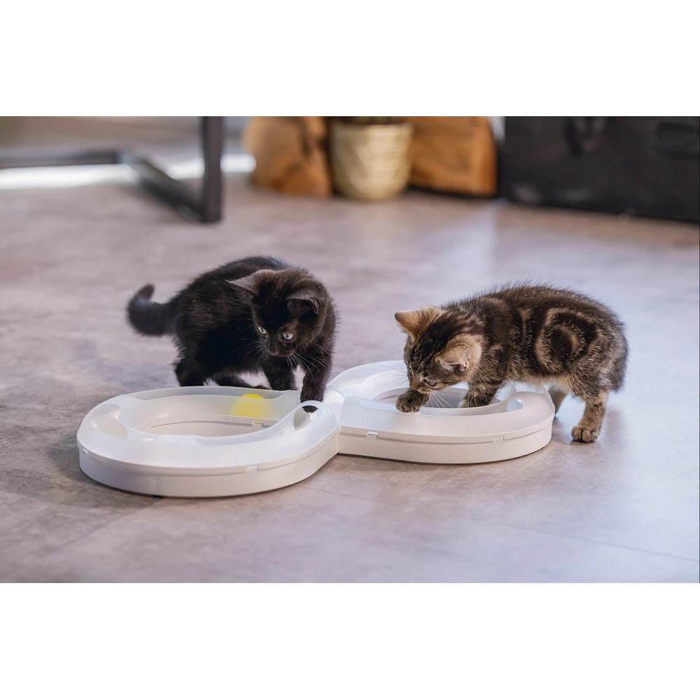 Beeztees Speelrail Agty - Wit - 50x24x5,5cm - Kattenspeelgoed 4 Beeztees Speelrail Agty - Wit - 50x24x5,5cm - Kattenspeelgoed - Afbeelding 2