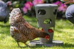 Beeztees Beezteez Voertoren - Kippenvoerbak - 30x30x36cm -Flamingo Verkoop beezteez voertoren kippenvoerbak 30x30x36cm 5