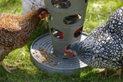 Beeztees Beezteez Voertoren - Kippenvoerbak - 30x30x36cm -Flamingo Verkoop beezteez voertoren kippenvoerbak 30x30x36cm 6