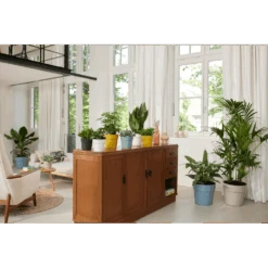 Bloempot Elho B.for Original Rond 30cm -Duifblauw -Flamingo Verkoop bfor original rond bloempot duifblauw 4 1