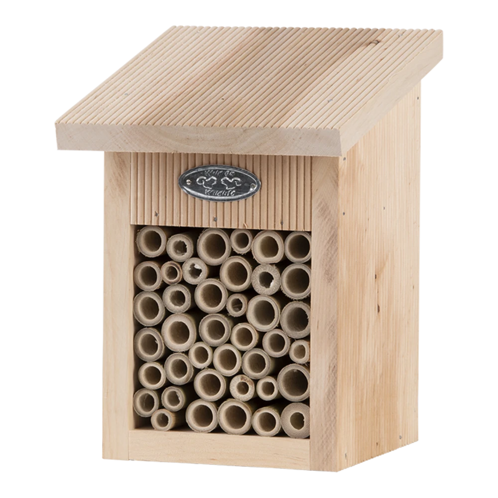 Bijenhuis In Geschenkverpakking 3 Bijenhuis In Geschenkverpakking