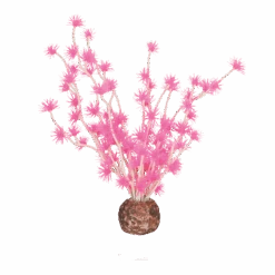 BiOrb Bonsai Bal - Roze