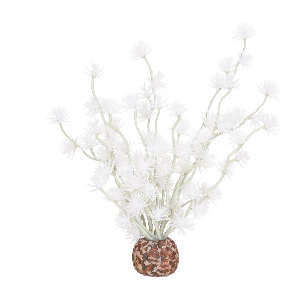 BiOrb Bonsai Bal - Wit 3 BiOrb Bonsai Bal - Wit