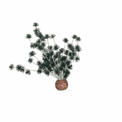 BiOrb Bonsai Bal - Zwart