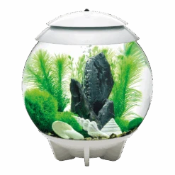 BiOrb Easy Du00e9cor Kit - 30L - Groen -Flamingo Verkoop biorb easy decor kit 30l groen 3 1