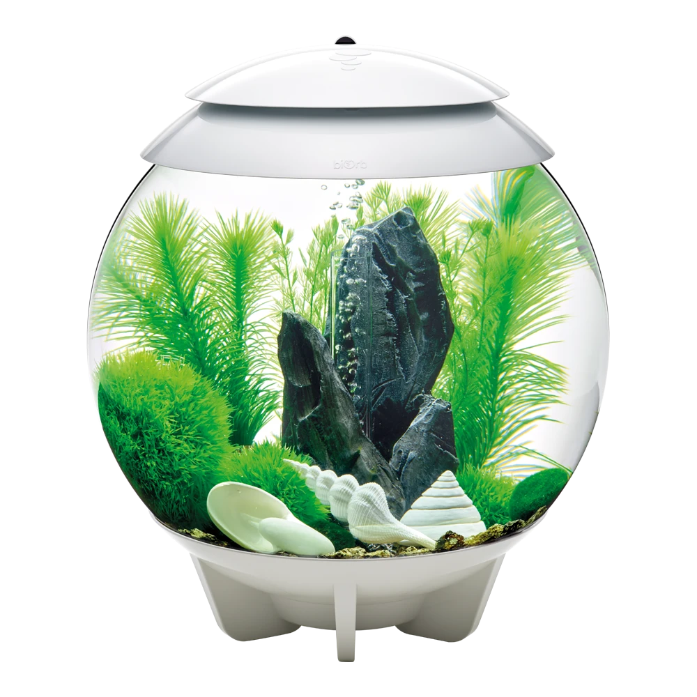 BiOrb Easy Du00e9cor Kit - 30L - Groen - Afbeelding 3