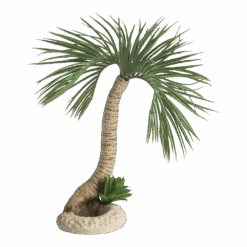 BiOrb Palmboom Seychelles - L