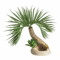 BiOrb Palmboom Seychelles - S