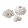 BiOrb Zee-egel Set - Wit 2 BiOrb Zee-egel Set - Wit -Flamingo Verkoop biorb zee egel set wit 1 1