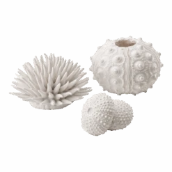 BiOrb Zee-egel Set - Wit