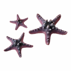 BiOrb Zeester Set 3 - Roze