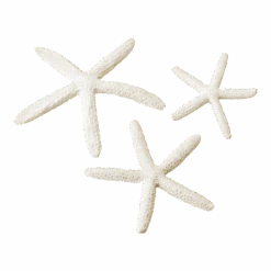 BiOrb Zeester Set 3 - Wit