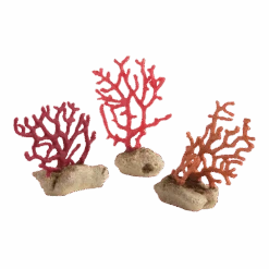 BiOrb Zweepkoraal Set