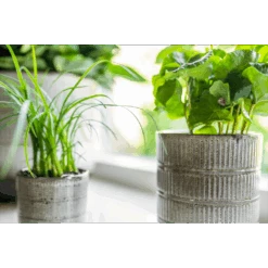 Bloempot Denise - D17 X H17cm - Off White 7 Bloempot Denise - D17 X H17cm - Off White -Flamingo Verkoop bloempot denise d17 x h17cm off white bloempot 3