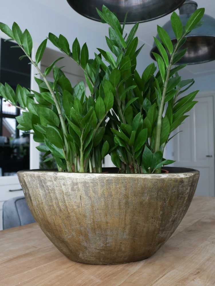 Bloempot Kos Ovaal - L35 X B16 X H19cm - Goud 4 Bloempot Kos Ovaal - L35 X B16 X H19cm - Goud - Afbeelding 2