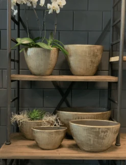 Bloempot Kos Ovaal - L35 X B16 X H19cm - Goud 7 Bloempot Kos Ovaal - L35 X B16 X H19cm - Goud -Flamingo Verkoop bloempot kos serie ovaal goud bloempot 3 1