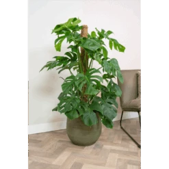 Bloempot Lydia - D26 X H26cm - Shiny Green -Flamingo Verkoop bloempot lydia shiny green bloempot 2 1