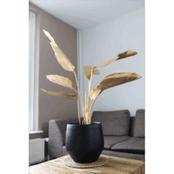 Bloempot Petra - D23 X H20cm - Mat Zwart 7 Bloempot Petra - D23 X H20cm - Mat Zwart -Flamingo Verkoop bloempot petra mat zwart 2