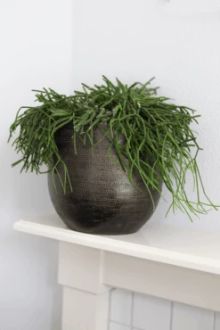 Bloempot Tokio - D32 X H30cm - Goud -Flamingo Verkoop bloempot tokio goud bloempot 2 1