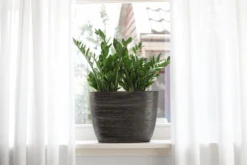 Bloempot Tokio Ovaal - L52 X B17 X H37cm - Goud 5 Bloempot Tokio Ovaal - L52 X B17 X H37cm - Goud -Flamingo Verkoop bloempot tokio ovaal goud bloempot 2 1