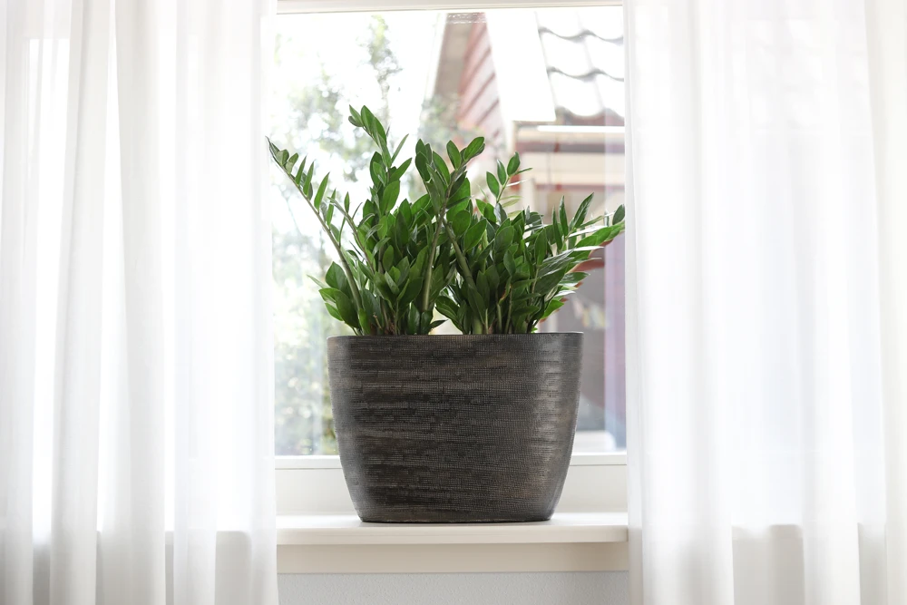 Bloempot Tokio Ovaal - L52 X B17 X H37cm - Goud 4 Bloempot Tokio Ovaal - L52 X B17 X H37cm - Goud - Afbeelding 2