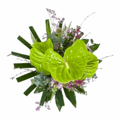 Boeket Anthurium Middel -Flamingo Verkoop boeket anthurium boeketten 2 2