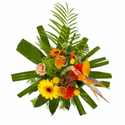 Boeket Beatrix Groot 9 Boeket Beatrix Groot -Flamingo Verkoop boeket beatrix boeketten 2 3