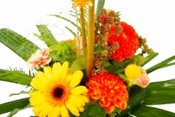 Boeket Beatrix Groot 11 Boeket Beatrix Groot -Flamingo Verkoop boeket beatrix boeketten 4 3