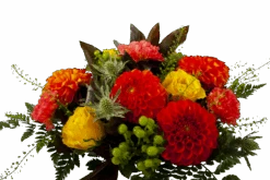 Boeket Dahlia Groot -Flamingo Verkoop boeket dahlia boeketten 3 3